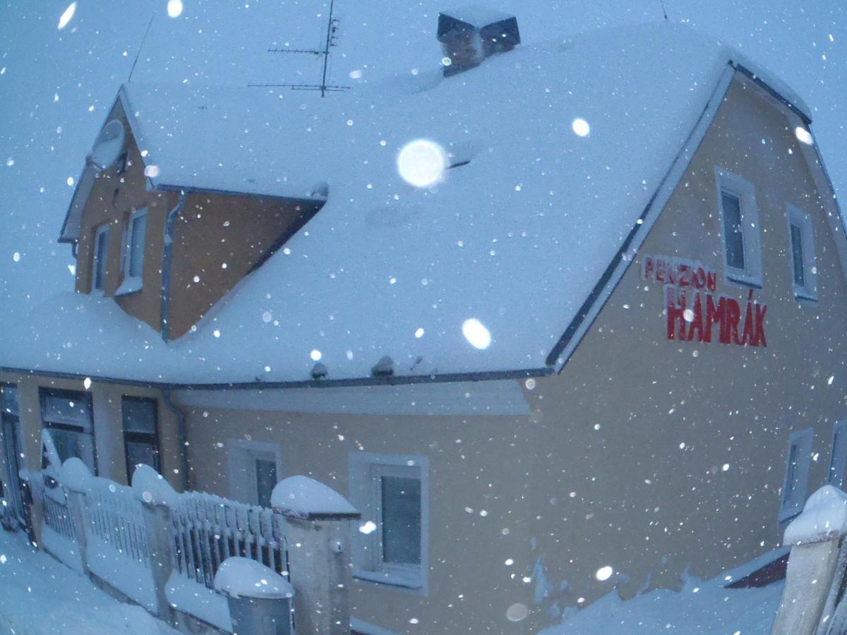 Penzion Hamrak Ceske Hamry Eksteriør bilde